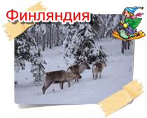 phoca thumb l finlyandiya04