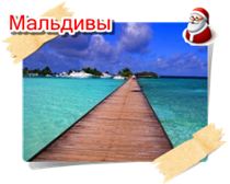 phoca thumb m maldivi008
