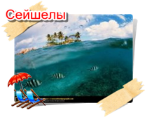 phoca thumb m sejsheli003