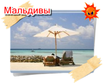 phoca thumb m maldivi006