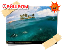 phoca thumb m sejsheli003
