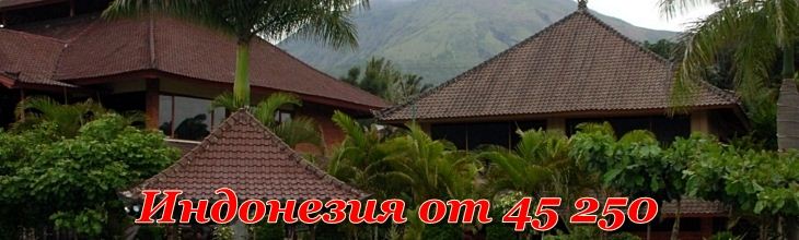 VTEM Slideshow