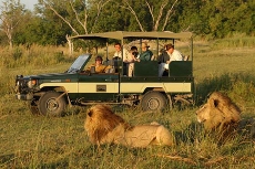 safari4